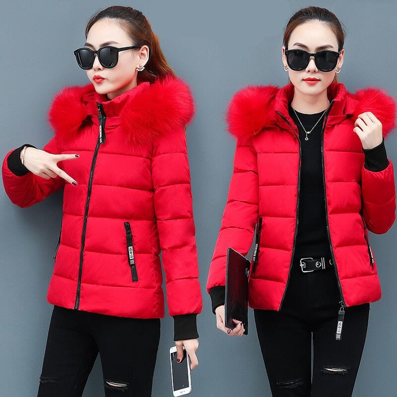 Chaqueta bómber de mujer